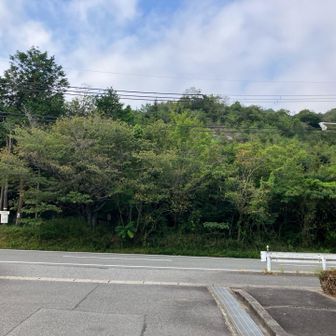 登り口は駐車場の向かい。