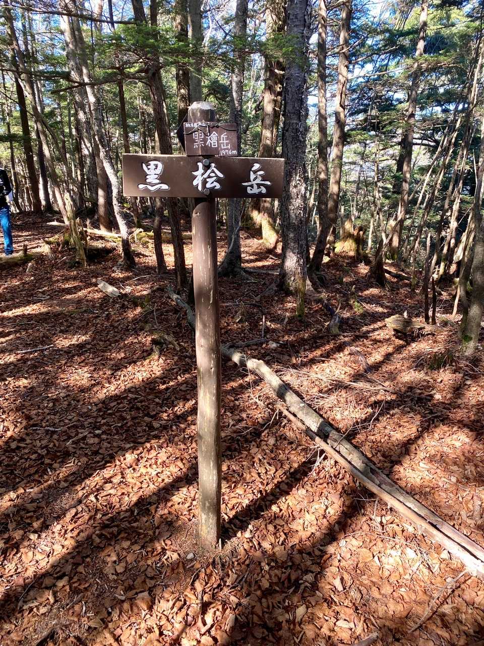 黒檜岳の山頂（1976m）に到着しましたが
残念ながら眺望は全くありませんでした💦 

ここまで誰にも会いませんでしたが、この少し手前の樹林帯の中で後ろから来たトレランの方とお会いしました🏃‍♀️   第一山人です！
お互いに「ホッとしました」との感想😄
社山の先の登山者は本当に少ない様ですね！

［携帯バッテリー残量：0.1目盛🟥］