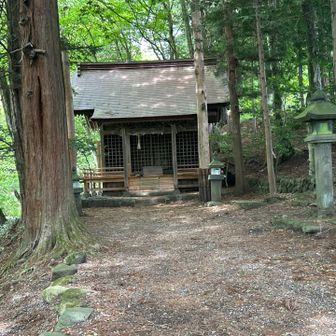 多留姫神社⛩️
多留姫様は、諏訪大社の祭神（健御名方命）の第2姫になり、記述書によっては垂比洋神とも垂姫とも書かれている事もあるそうだ、
父の健御名方命は大国主命の第二子神に当たるそうで、家系図のような説明書きもある。