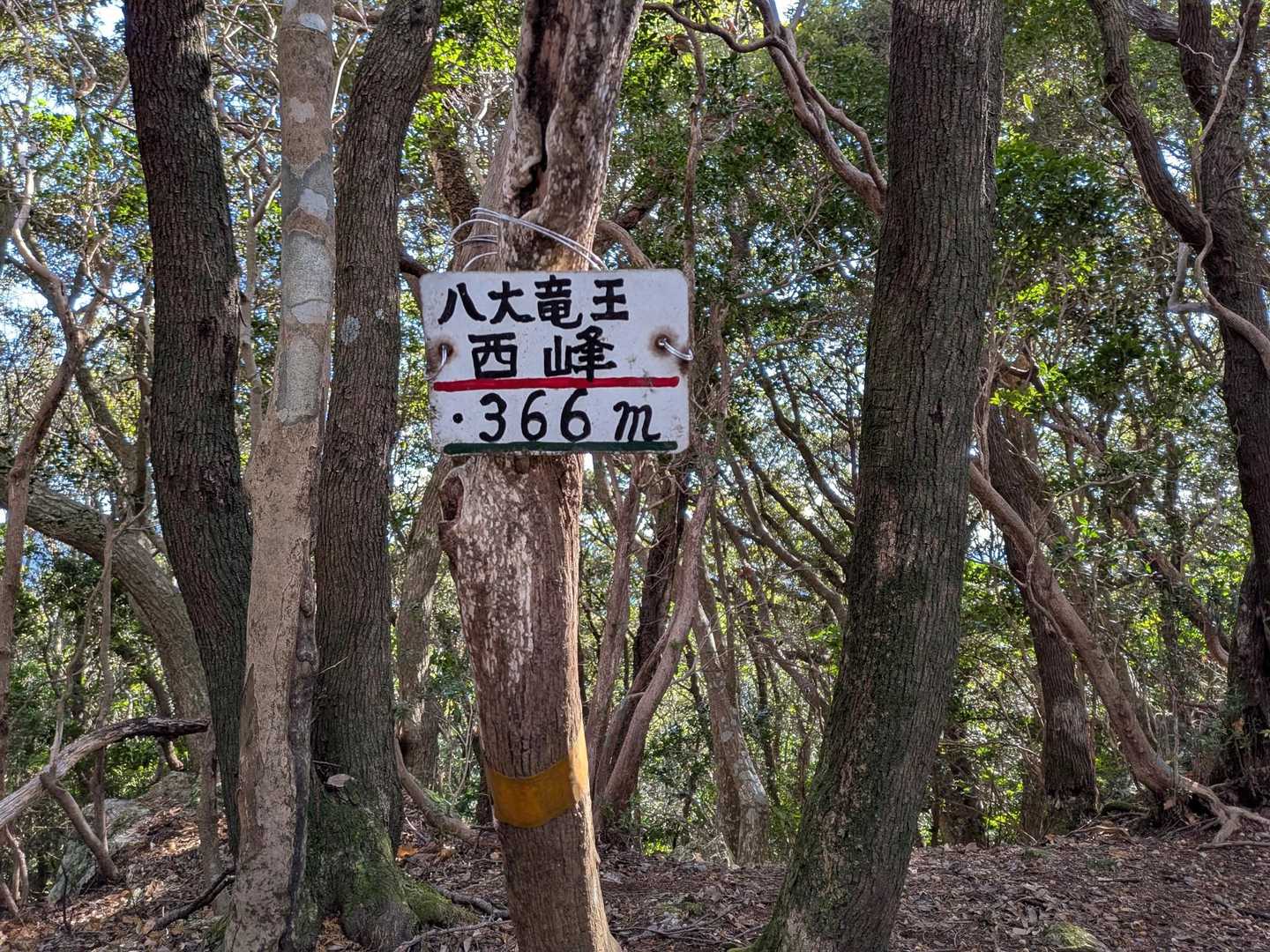 馬山登り口-馬山-馬山登り口-切原浅間山登り口-切原浅間山 縦走コースの写真