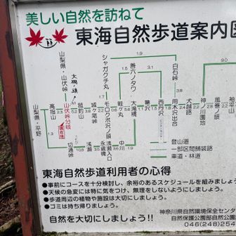 東海自然歩道

通しでは結構距離あります。
因みに高指山は、崩落の為、通行禁止になっているので、今回は山伏峠から西丹沢ビジターセンターを目指します。晴れた日に逆ルートで（富士山を見ながら）歩いてみたい。