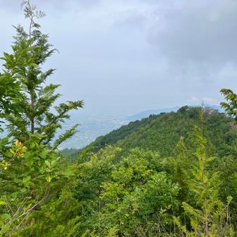 剣が峰。その向こうに甲府盆地。