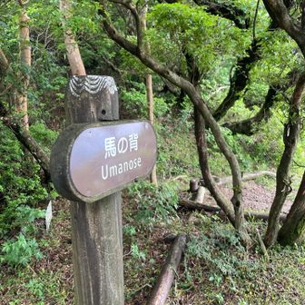 馬の背