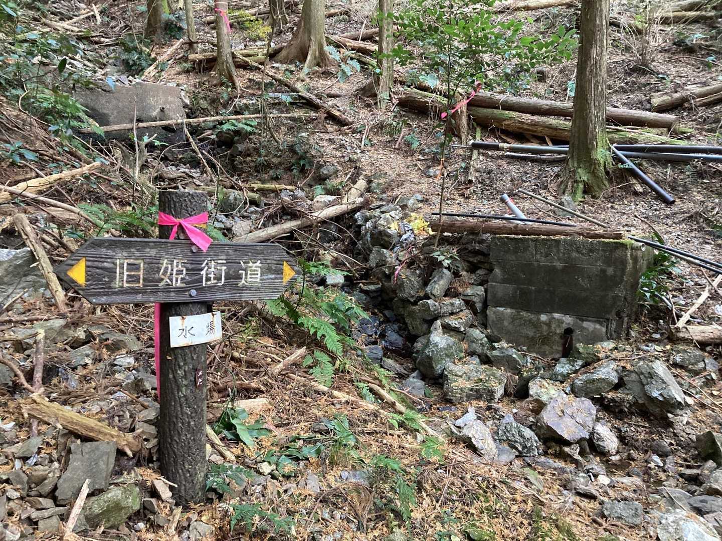 大山浅間社-本坂峠-坊ヶ峰 周回コースの写真