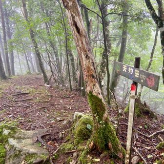天狗岳山頂もガス