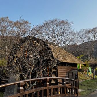 水車も元気に回っております。