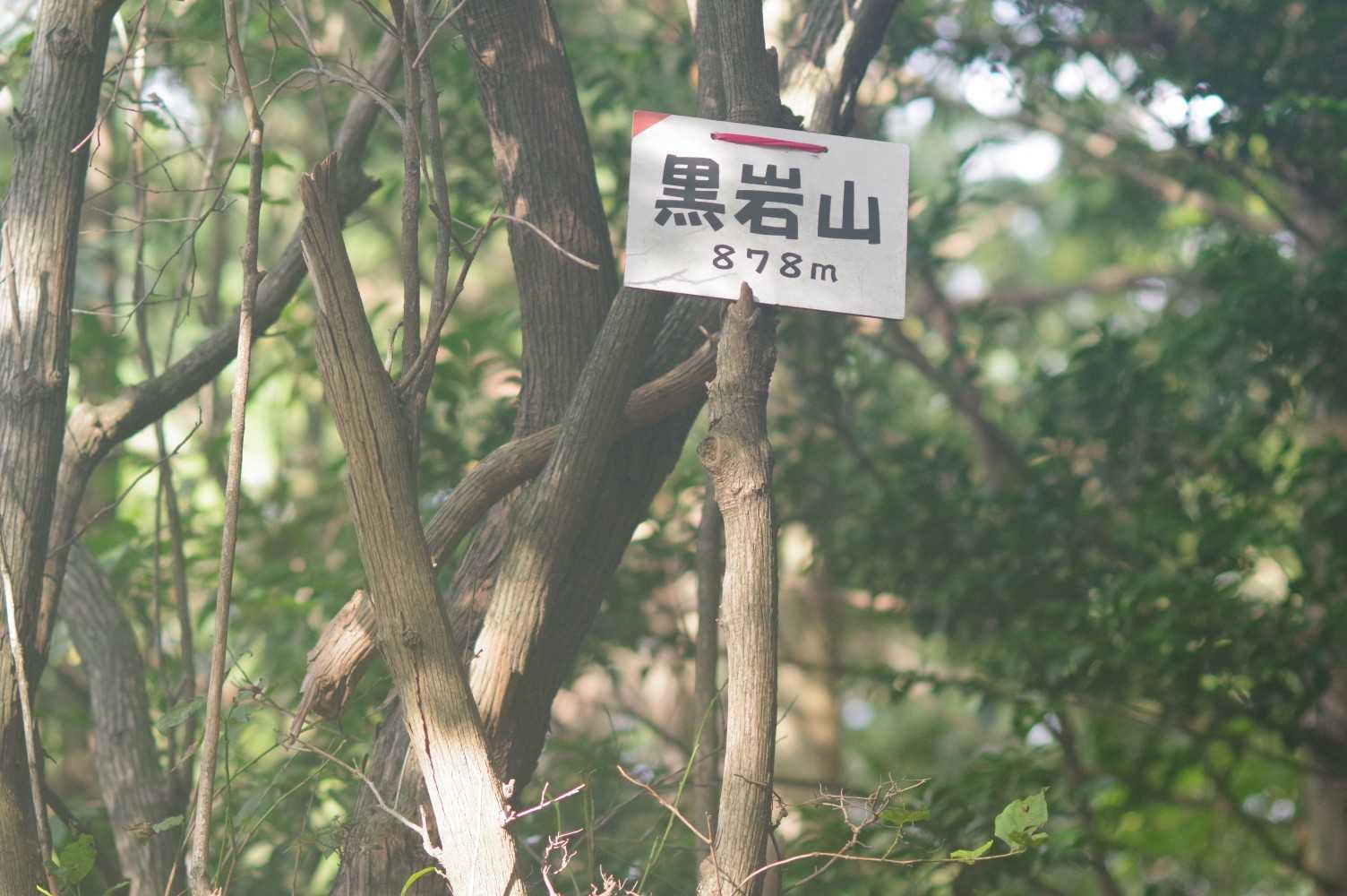 二つめ～👍️
この辺のお山は尾根がはっきりした地形でルートが分りやすい❗️
でも山頂直下はけっこうな急登だった💦
ところでこの山頂標識をくくりつけたの、あき95さんだったんですね❗️
今日の計画立てる時にレポート色々見てたら偶然見つけました(笑)