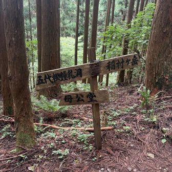 稲村ヶ岳へ➡️