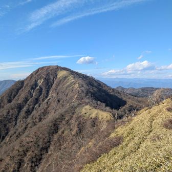 棚沢ノ頭を過ぎた頃に見えてきた蛭ヶ岳。最後の気力を振り絞って足を進めた。丹沢山〜蛭ヶ岳は今回の行程でも一等映える尾根筋が続いた。歩いて気持ちよかった…と言いたいのはやまやまだが、歩くと標高差以上にしんどかった。美しいけど優しくはないのだ。