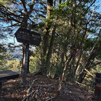 また来ちゃったよ、どうもです😊✨