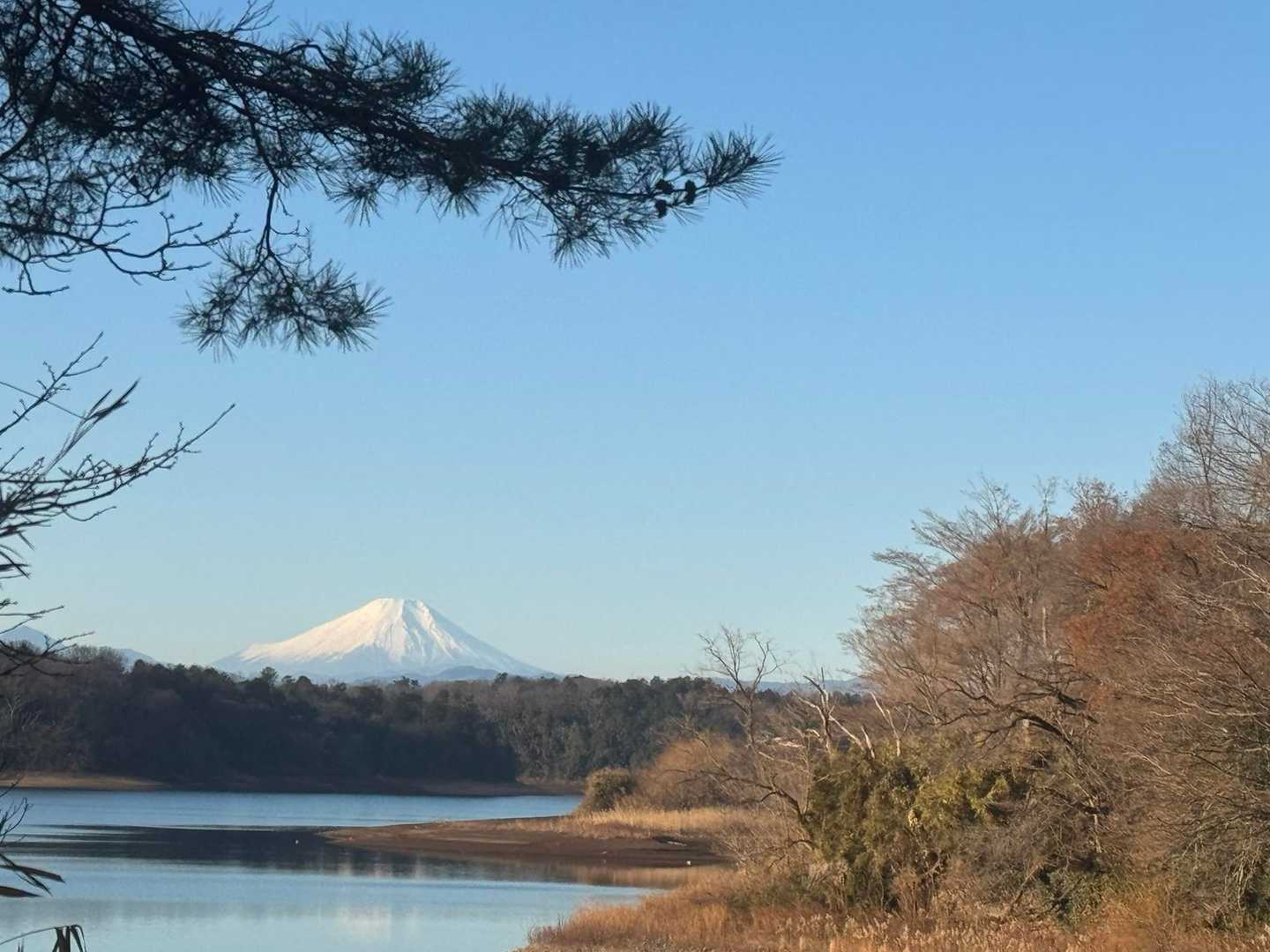 富士山🗻