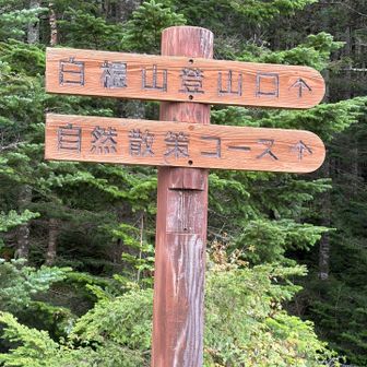 登山口⛰️
