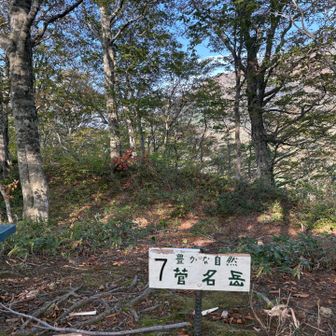 時間もバッテリーもないからここで戻ろうか悩んだ