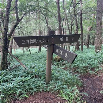 (八ヶ岳神社)分岐に来ました。ここからが今日のメインイベント、左へ進みます。駐車場まではCT4時間半です。