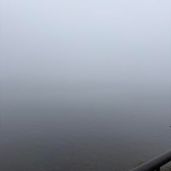 湖も何も見えなーい