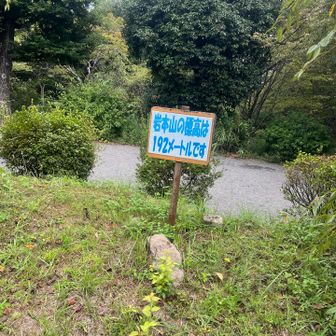 岩本山の山頂らしい。