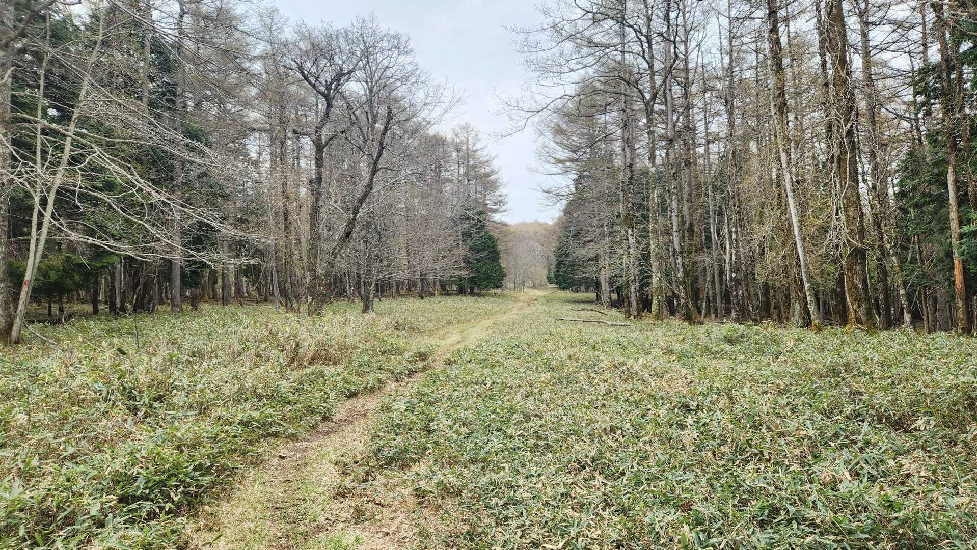 藤原登山口-鶏頂山-釈迦ヶ岳 往復コースの写真