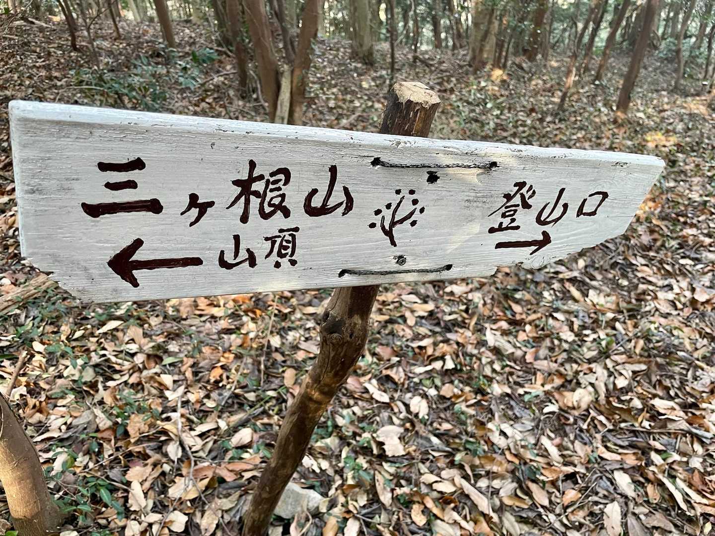 看板たくさんあるので安心