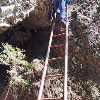 長いですがしっかりした梯子でした
下りた場所に祠