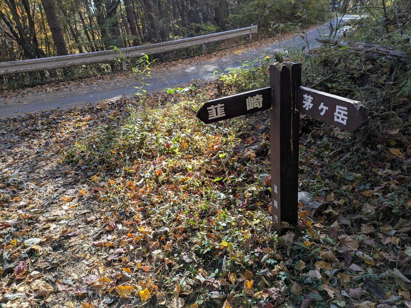 ここから少し林道を歩いて来た道に戻るよ。