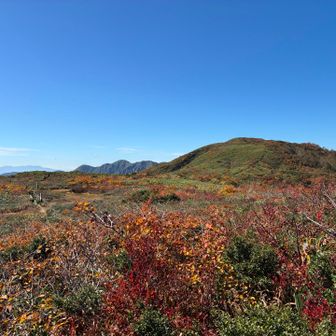 振り返って赤兎山頂♪