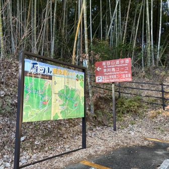 初めての東阿高から
ワクワクしますなぁ♪