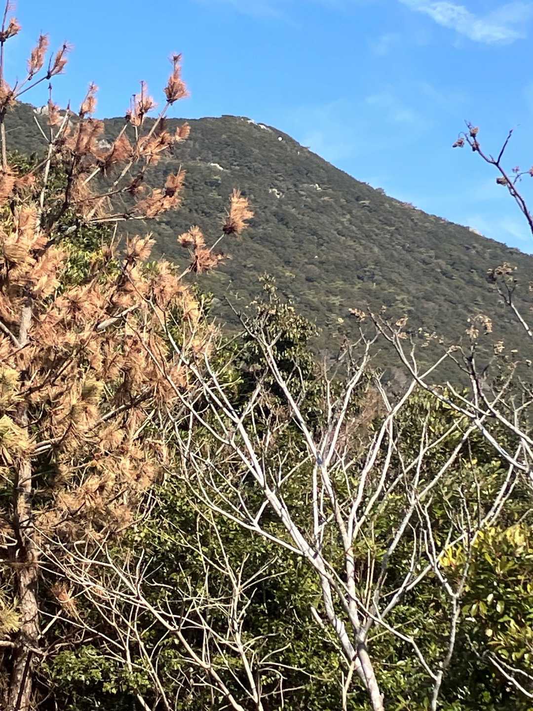 あちらが雨乞山？