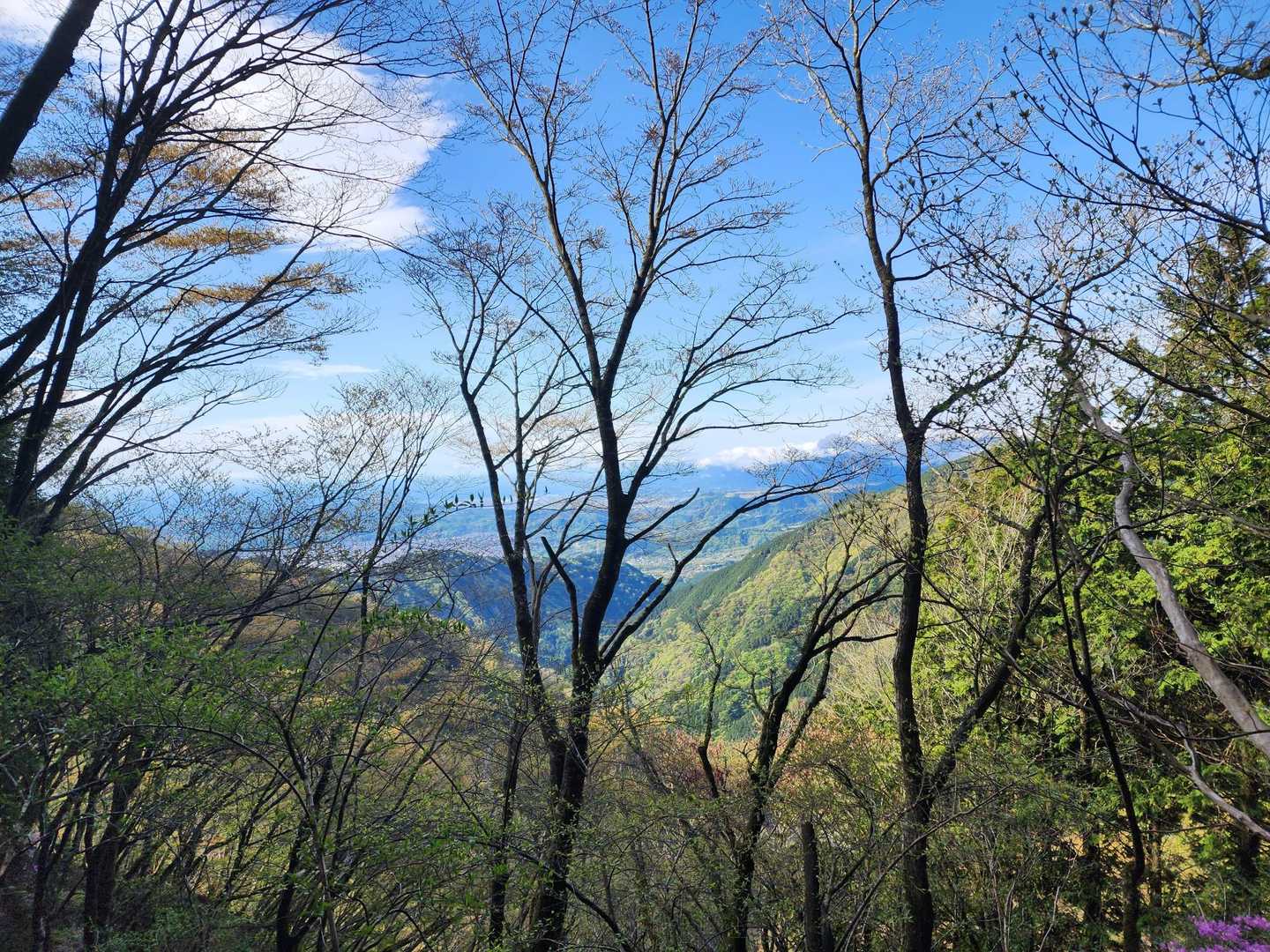木ノ又大日-塔ノ岳 往復コースの写真