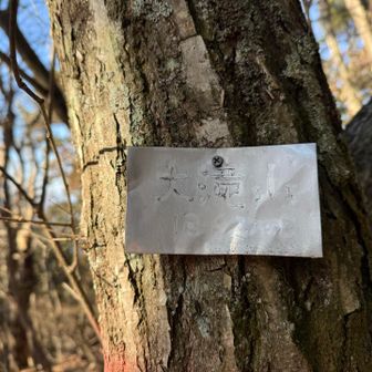 ここにあった！