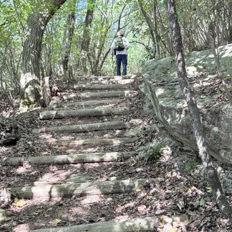 71歳のハイカーさんと語る。去年御嶽山に登り、へろへろになった由。その上あたりがP7だったようだが、標識を見逃した。