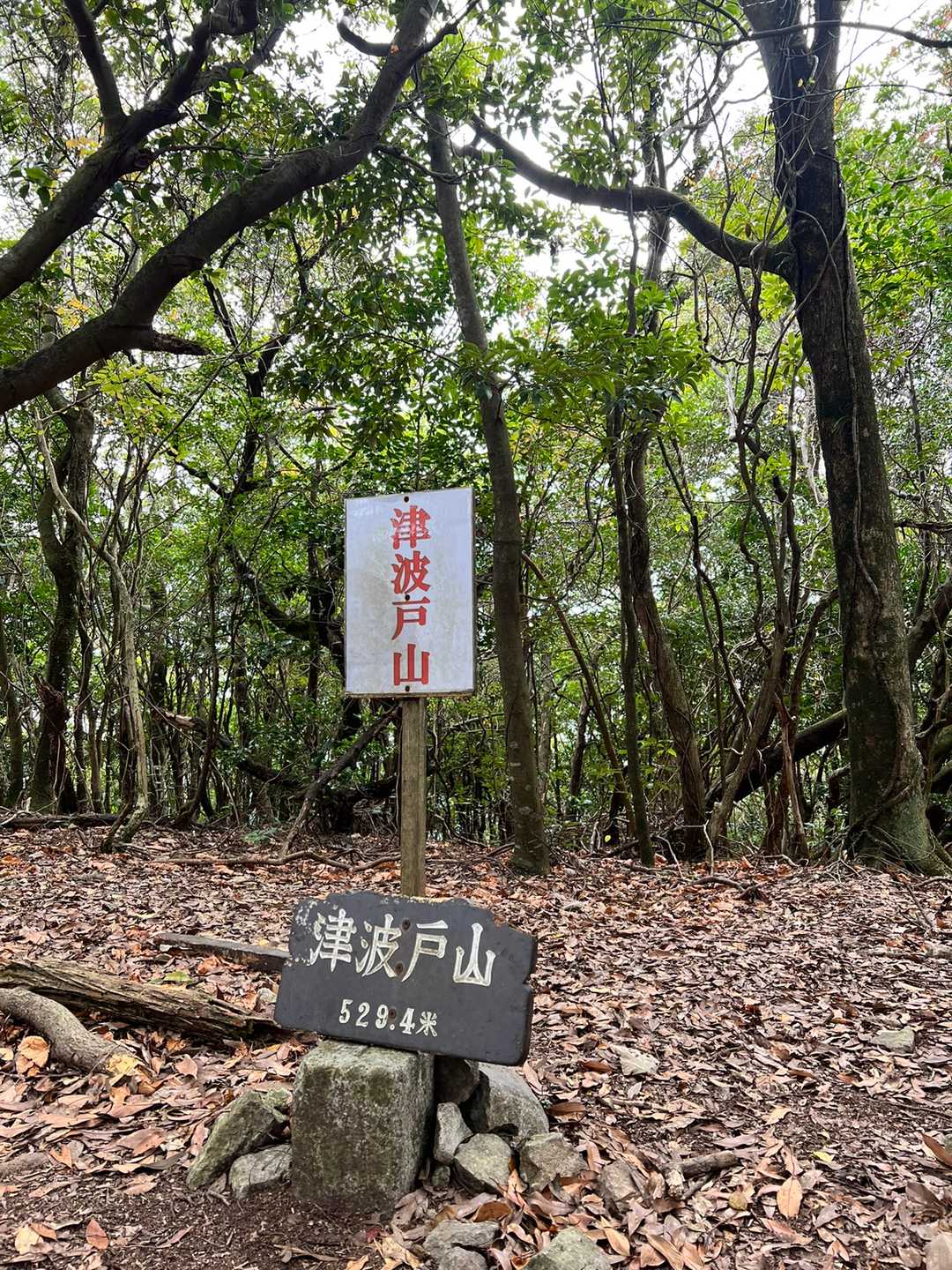 んで、眺望が……。
はい💦ピークです。