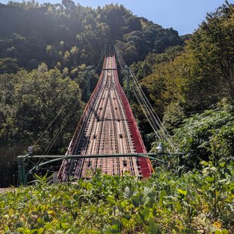 京阪電車線路を上から見られます