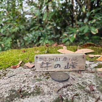 さんちょ