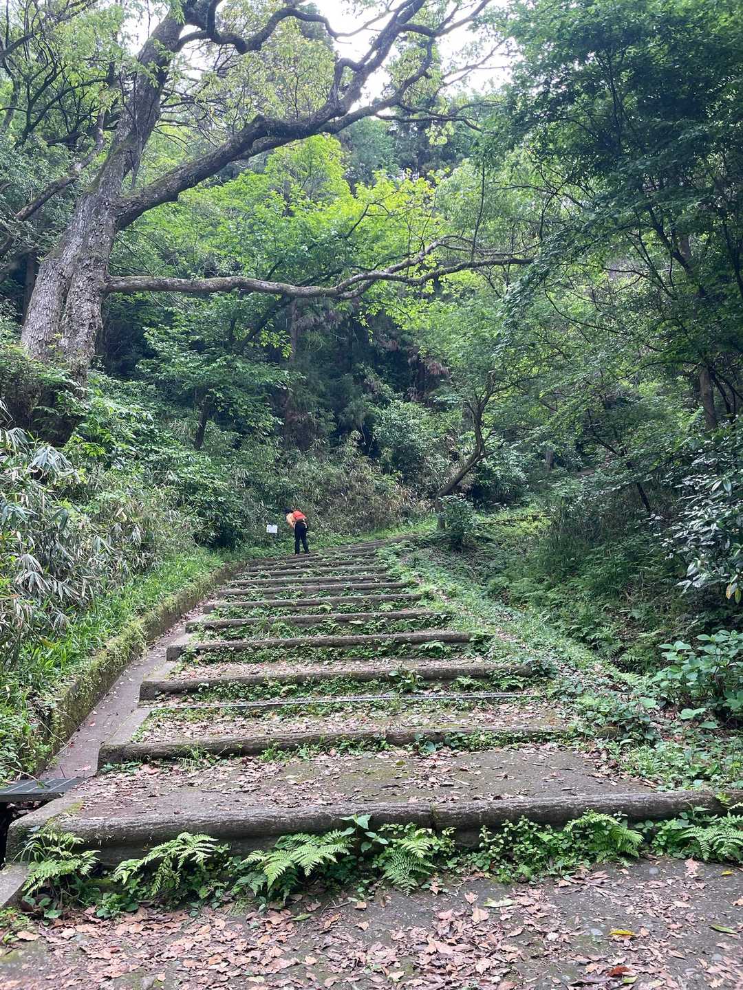 枚岡駅を出発
神津嶽コースで登ります。