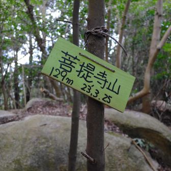 菩提寺山の山頂です🙌