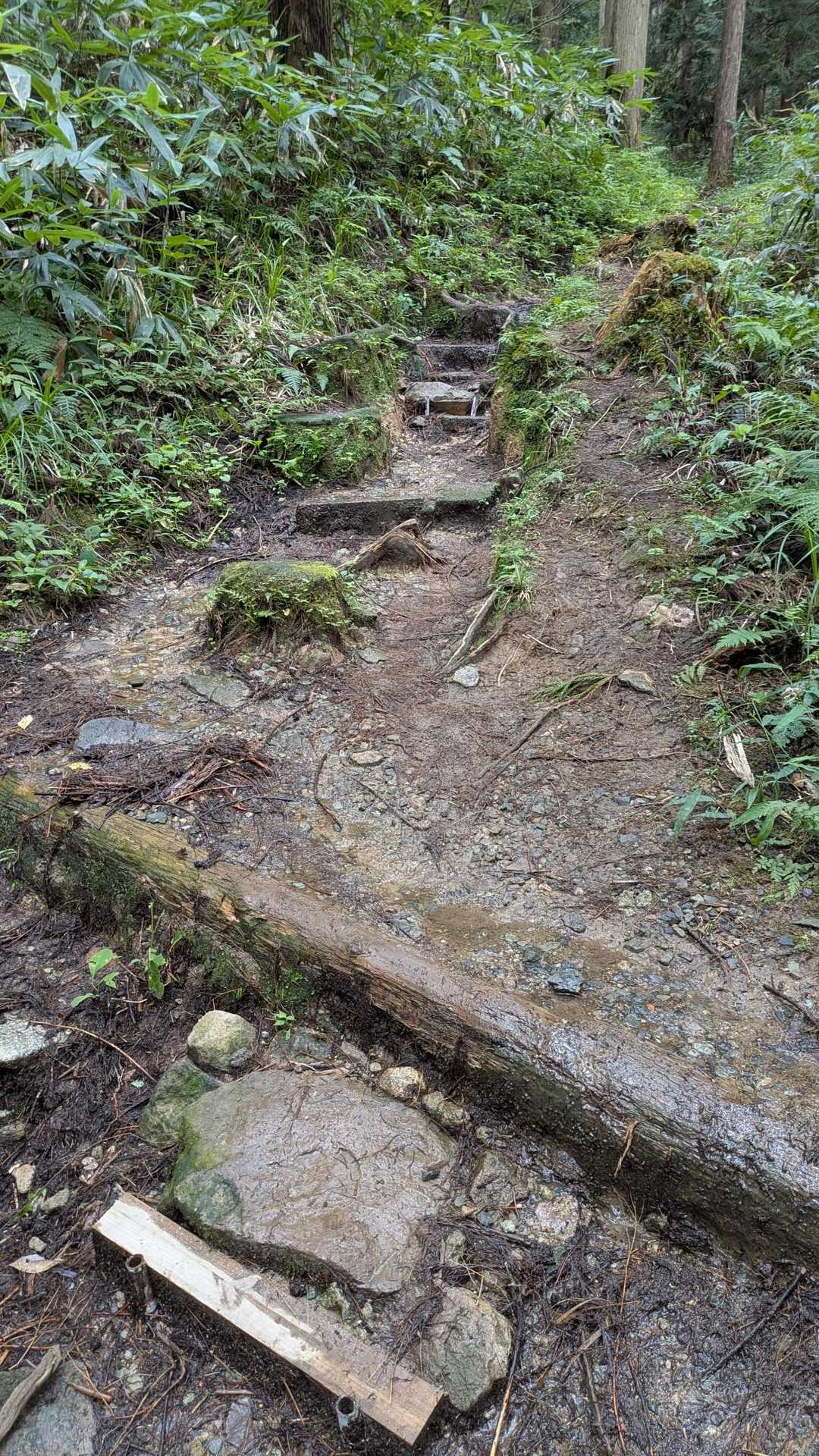 西ノ谷の入り口は水流れてる💧
登山道は乾いていました😊