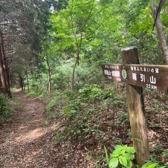御嶽山まであと0.1kmの表示が出てきました。
ほぼ真っ直ぐ緩やかに下って行きます。