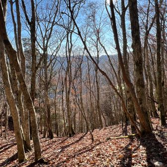 サクサク音を立てながら登ります！