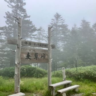 ガスガスもまた、いい雰囲気。