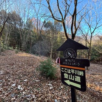平川峠まで来ました。
広い登山道だなぁと思ったら林道があるんですね。
