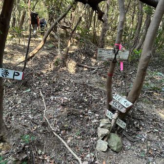 椛（なぐさ）峠