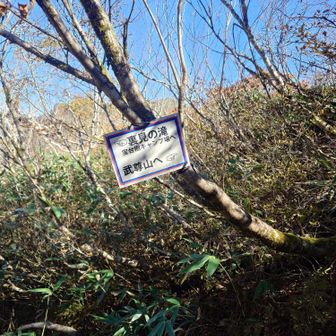 分岐まで降りて戻ってきました