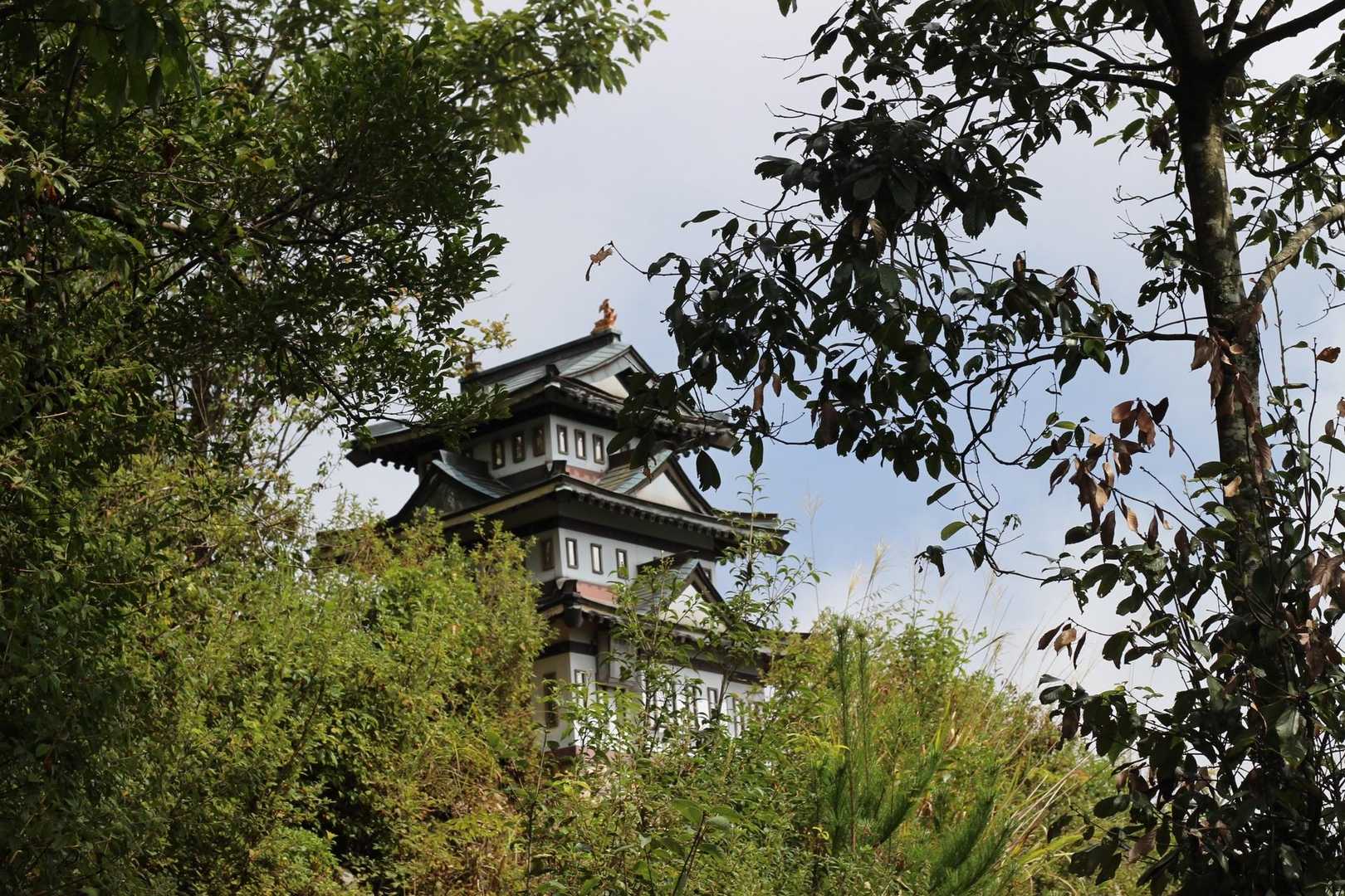 古城山 往復コースの写真