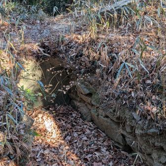 この中が。。。