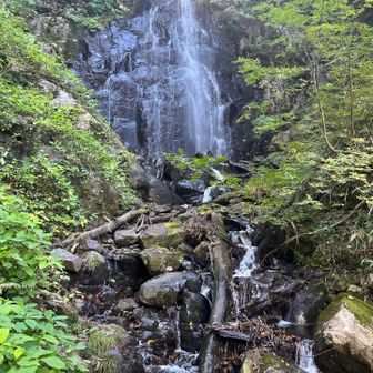 抱返ノ滝。ビジターセンターで勧められたので見に行ってみました。
