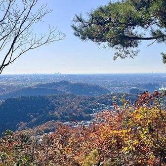 名古屋市街を見渡します