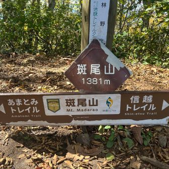 あまとみトレイルの終点、斑尾山に到着😊
