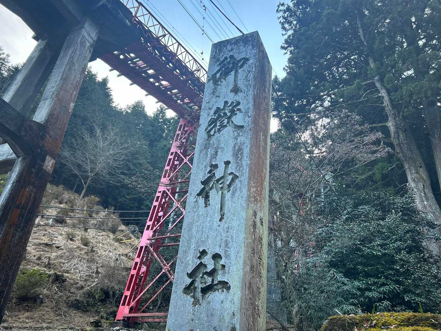 家族はケーブルカーで帰りたいというので
ひとりで参道を下る。
ケーブルよりちょっとだけ早く下りれた🙌