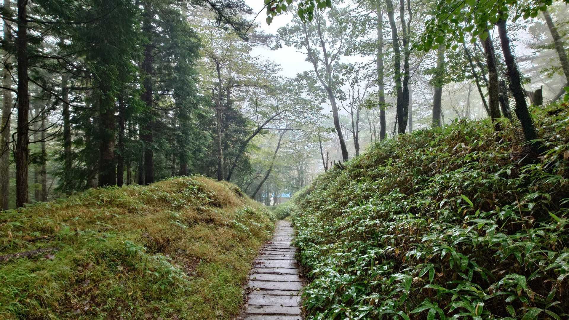山頂から笠取小屋まで戻る途中で雨足☔️が強くなってきた