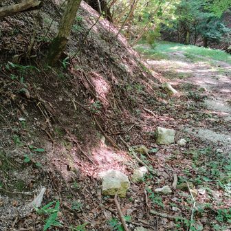 周りが風化した花崗岩なので